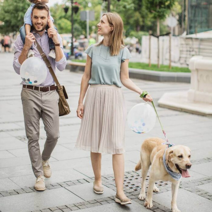 mom, dad, baby and dog in a walk