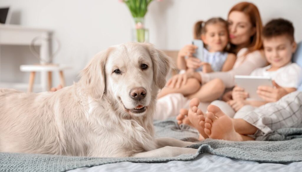 family with a dog at home