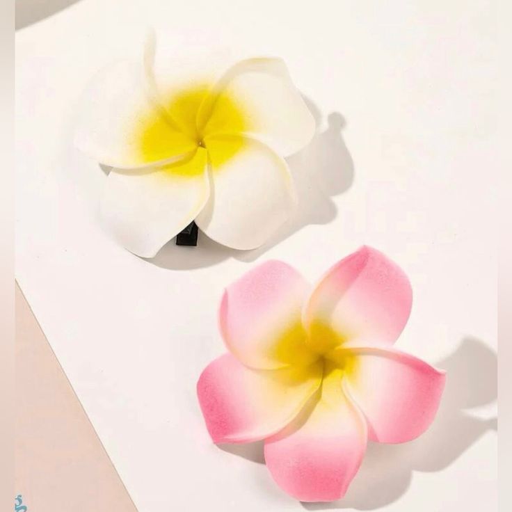 tropical Hawaiian hair clips