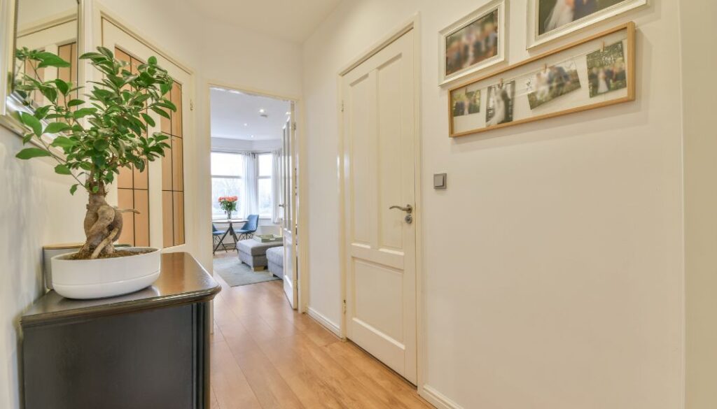 white modern hallway design