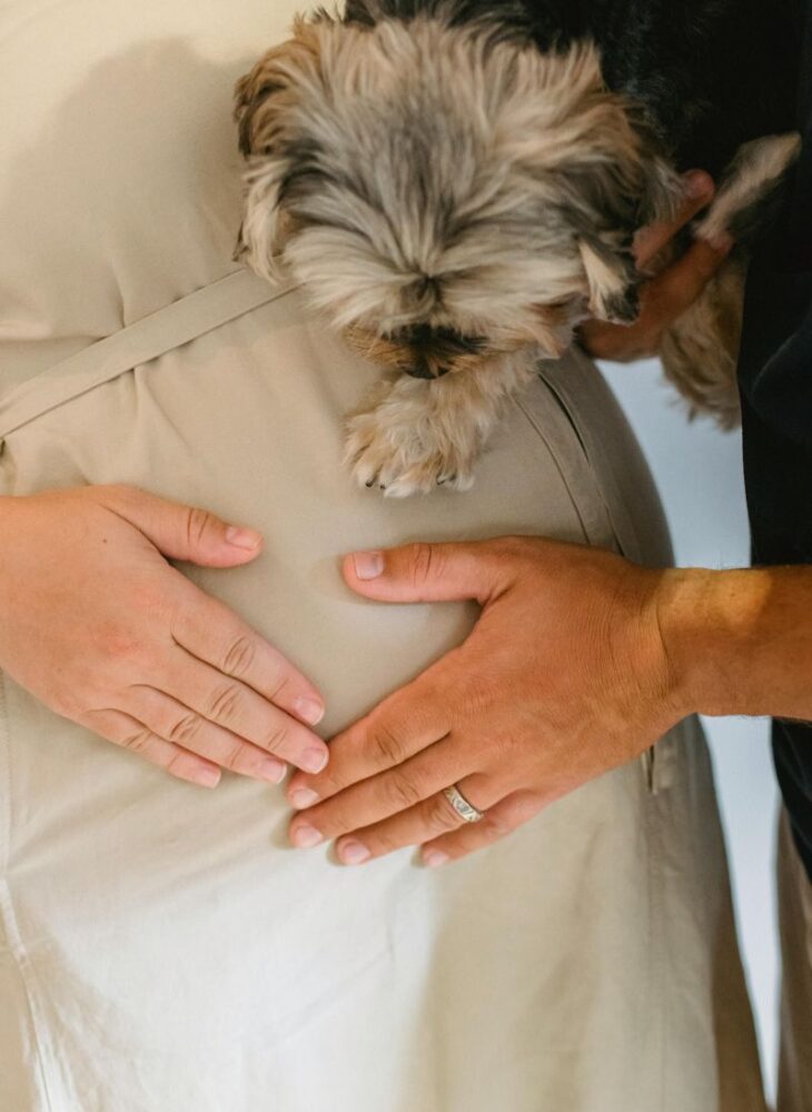 couple maternity photoshoot with dog